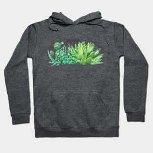 green succulent arrangement watercolor Hoodie